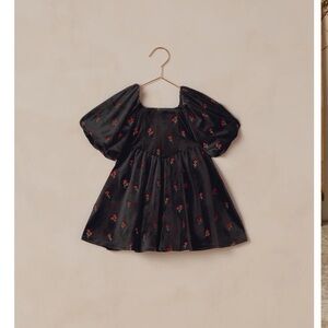 Noralee nina dress velvet floral